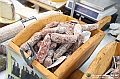 VBS_2094 - Sipario 2024